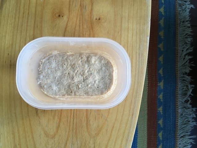 Zuurdesem cultuur (sour dough)