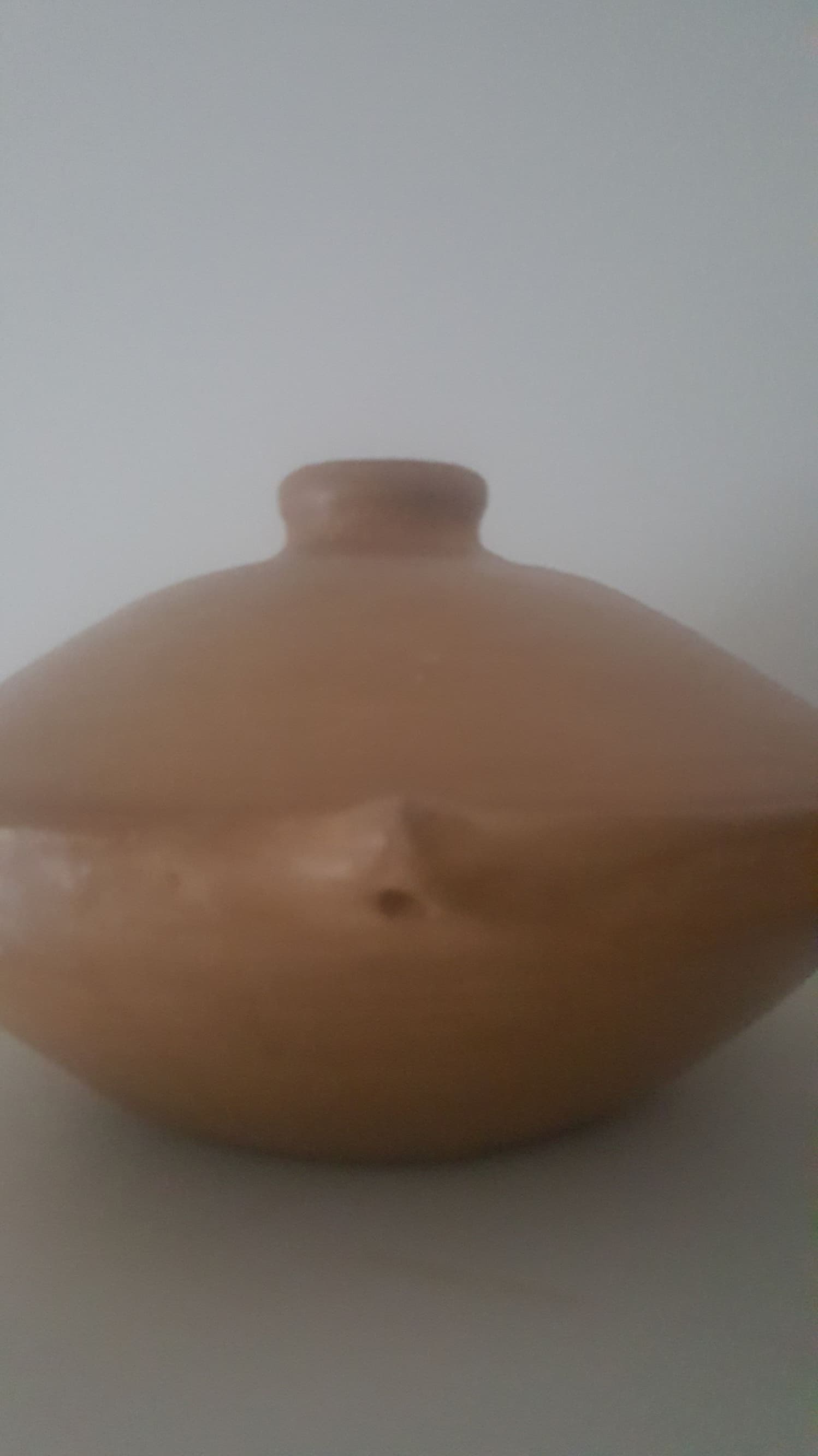 tajine bedoeld om op noordafrikaanse wijze een stoofpotje van vlees of vis voor te bereiden. 