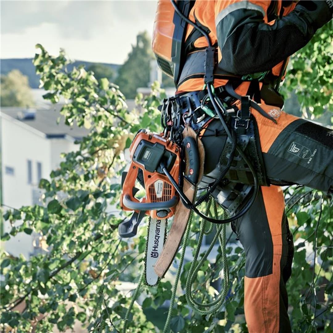 Kettingzaag voor bomen